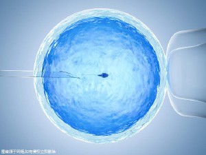 好孕故事